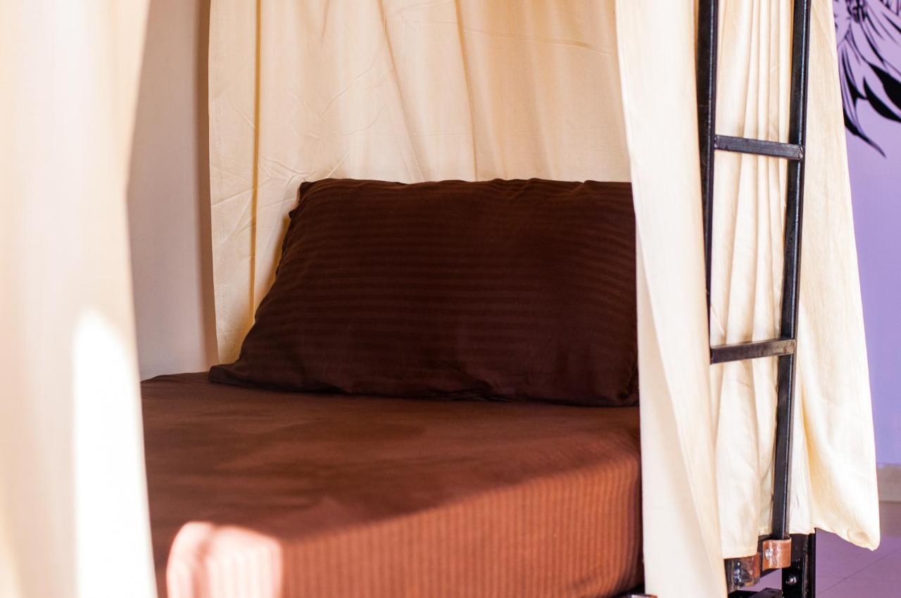 Hobo Hostel Dharamshala Ngoại thất bức ảnh